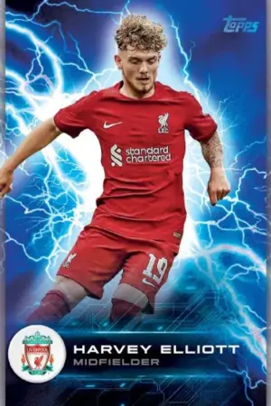 Liverpool Official Fan Set